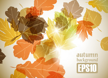 Similar image 6021039