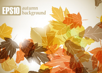 Similar image 6021040