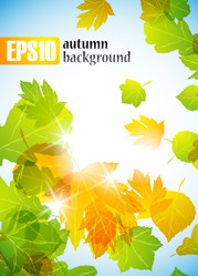 Similar image 6021042