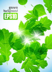 Similar image 6021043