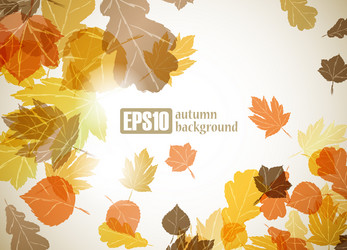 Similar image 6021046