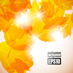 Similar image 6021047