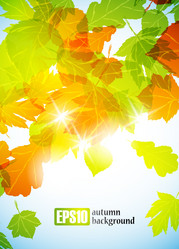 Similar image 6021049