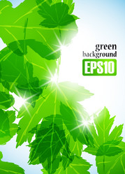 Similar image 6021051