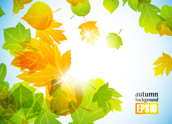 Similar image 6021064