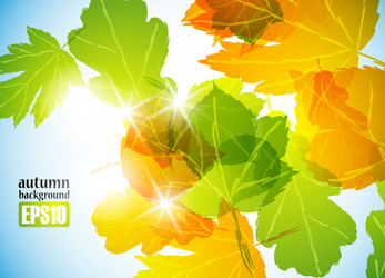 Similar image 6021065