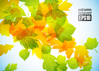 Similar image 6021066