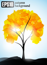 Similar image 6021074