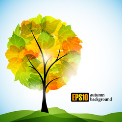 Similar image 6021079