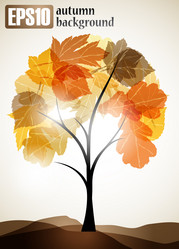 Similar image 6021082