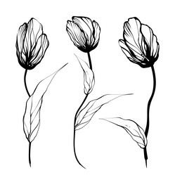 Similar image 6021587