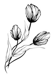 Similar image 6021590