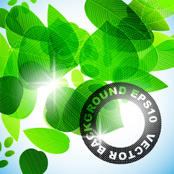 Similar image 6021638