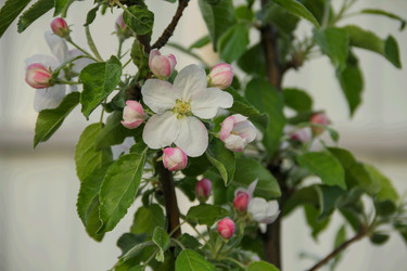 Similar image 6021706