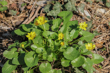 Similar image 6021707