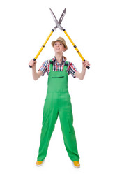 Similar image 6022648