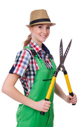 Similar image 6022649