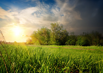 Similar image 6023117