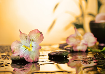 Similar image 6023125