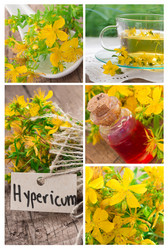 Similar image 6023363