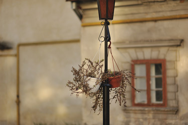 Similar image 6023749