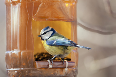 Similar image 6024128