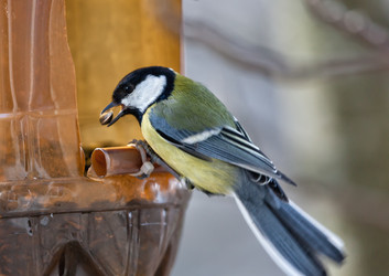 Similar image 6024129