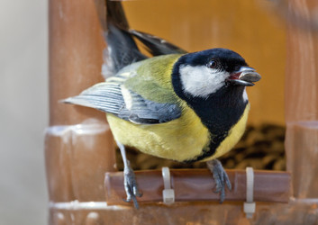 Similar image 6024131