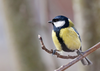 Similar image 6024132