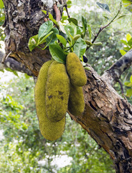 Similar image 6024150