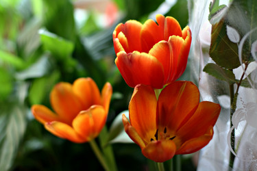 Similar image 6024183