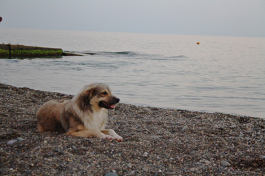 Similar image 6024191