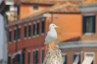 Similar image 6024208