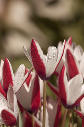 Similar image 6024243