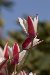 Similar image 6024244