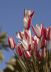 Similar image 6024245