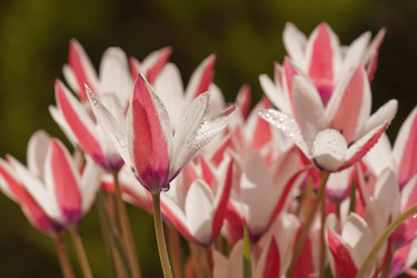 Similar image 6024246