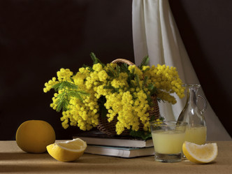 Similar image 6024248