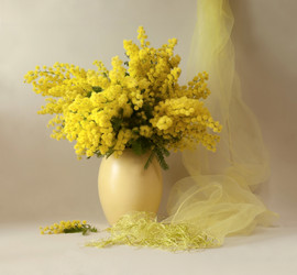 Similar image 6024249