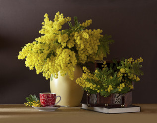 Similar image 6024251