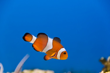 Similar image 6024265