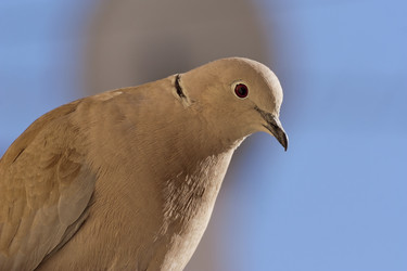 Similar image 6024270