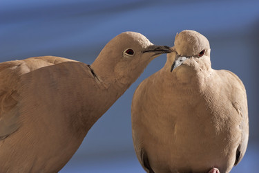 Similar image 6024271