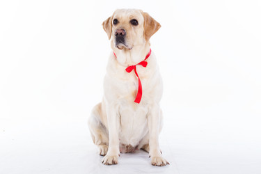 Similar image 6024336