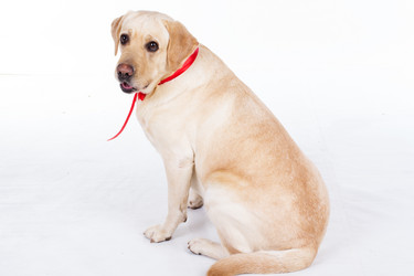 Similar image 6024339