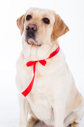 Similar image 6024341