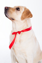 Similar image 6024344