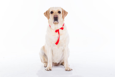 Similar image 6024348