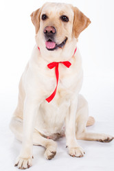 Similar image 6024364