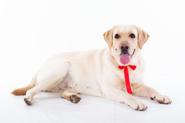 Similar image 6024365